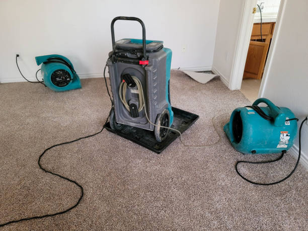 Water damage restoration insurance claims in Independence, OR