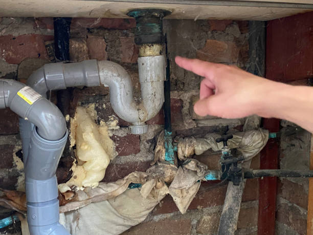 Best Water damage restoration near me  in Independence, OR