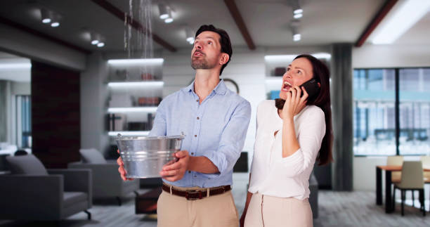 Best Water damage contractors near me  in Independence, OR