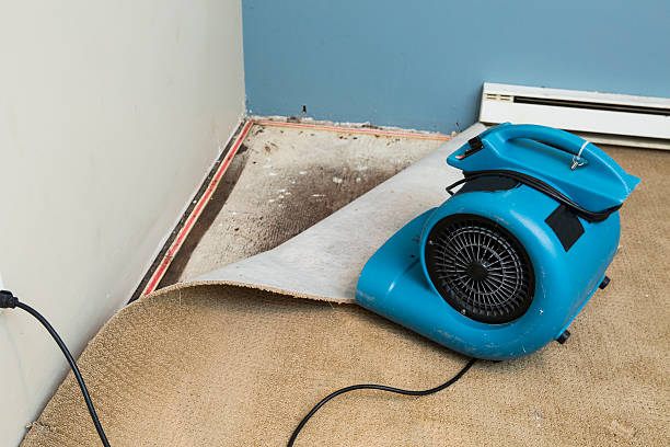 Best Water damage restoration services  in Independence, OR